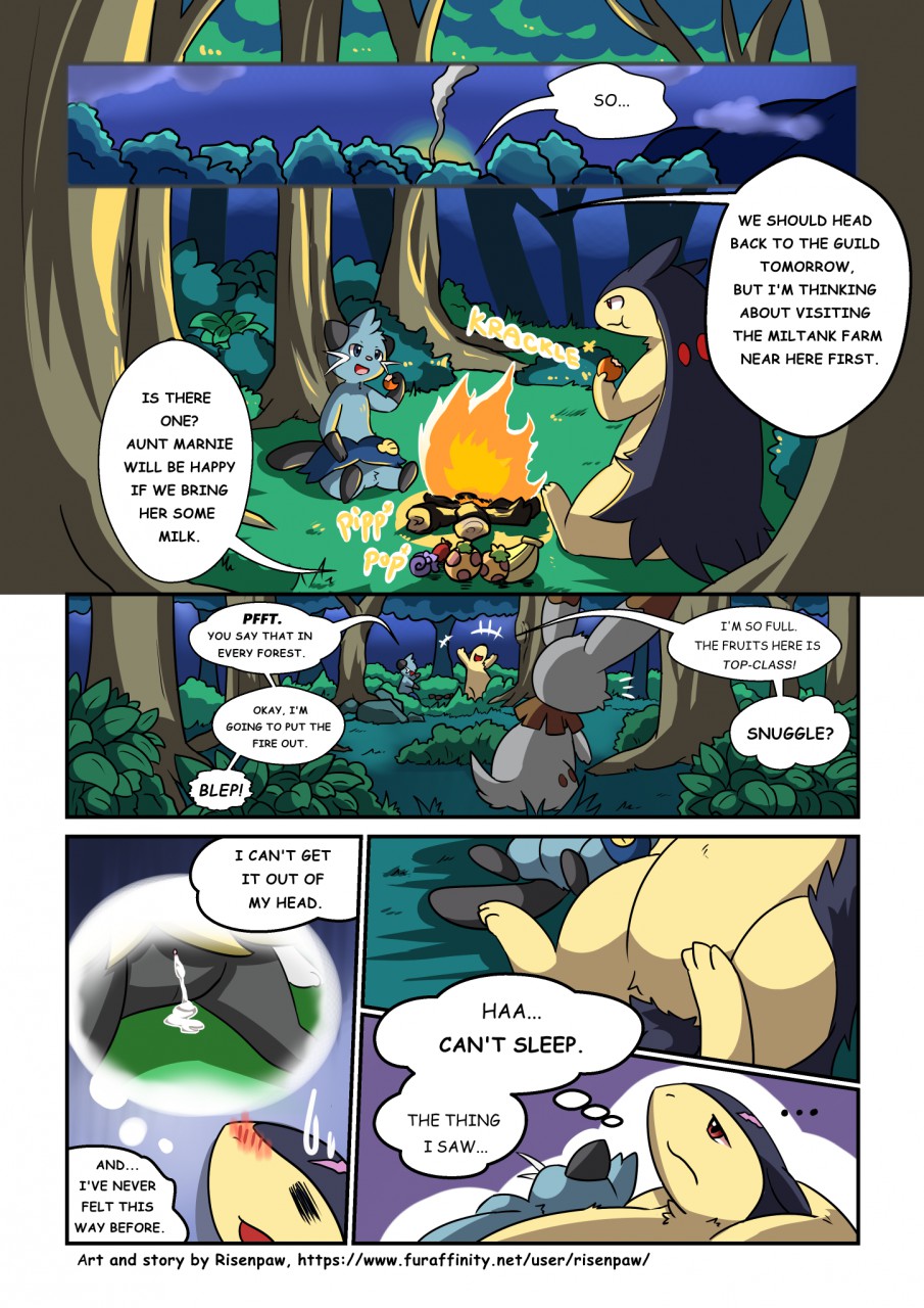 [Risenpaw] First Night (Pokémon)_3.jpg